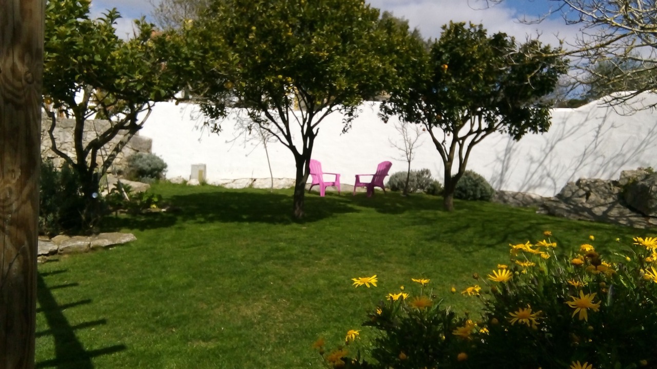 Photo of Outdoor in Lourinha
