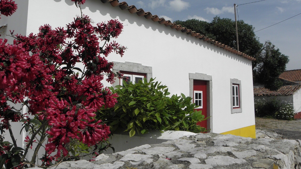 Photo of Outdoor in Lourinha