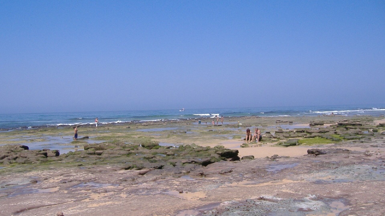 Photo of Others in Lourinha