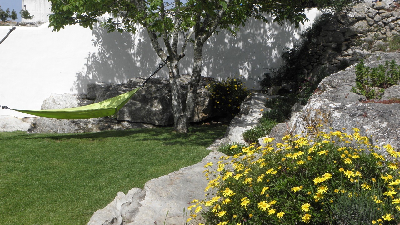 Photo of Outdoor in Lourinha