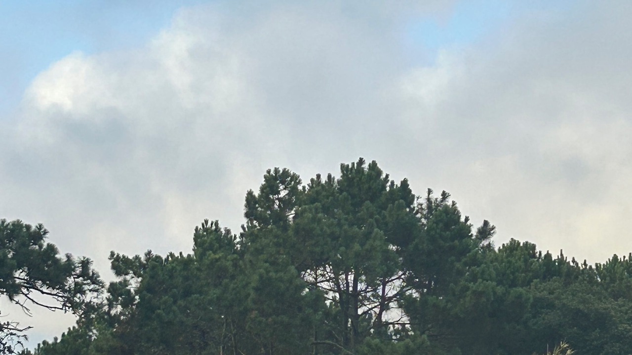Photo of Others in Atalaia