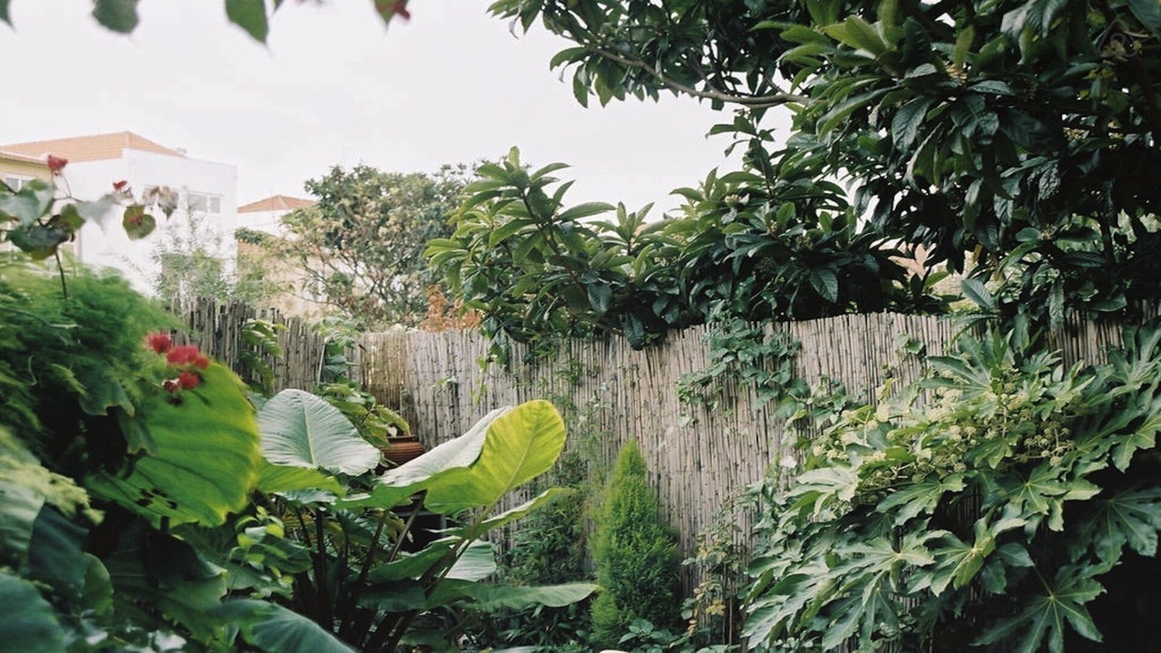 Photo of Outdoor in Paranhos
