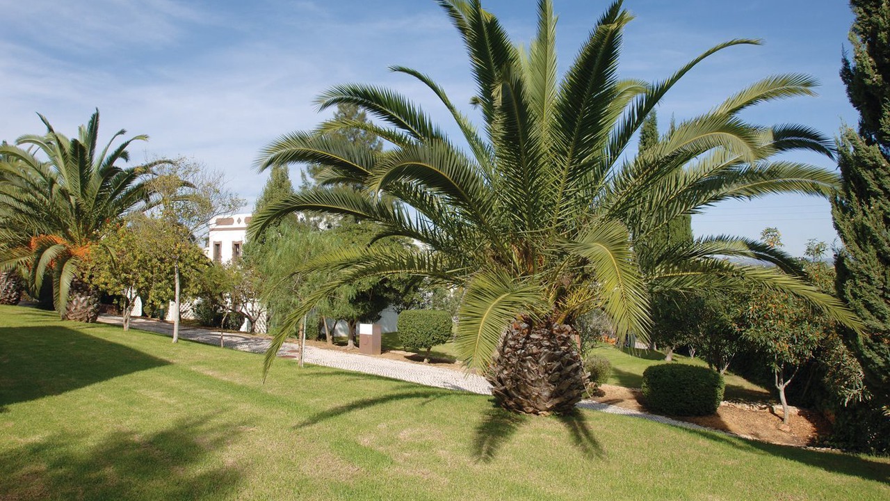 Photo of Outdoor in Poco Partido