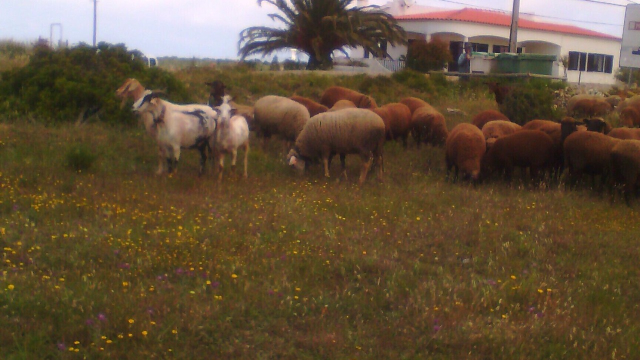 Photo of Outdoor in Aljezur