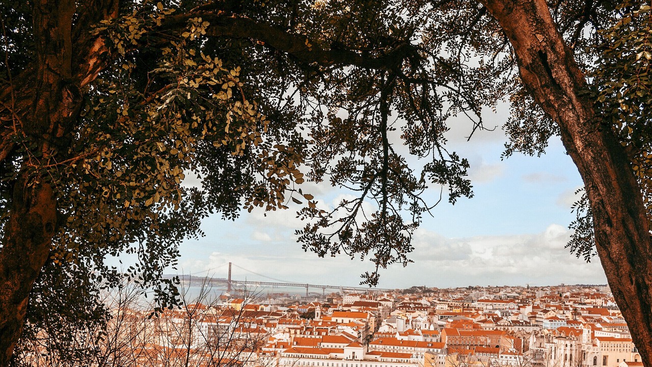 Photo of Others in Santa Maria Maior