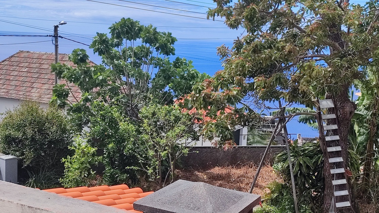 Photo of Outdoor in Arco da Calheta