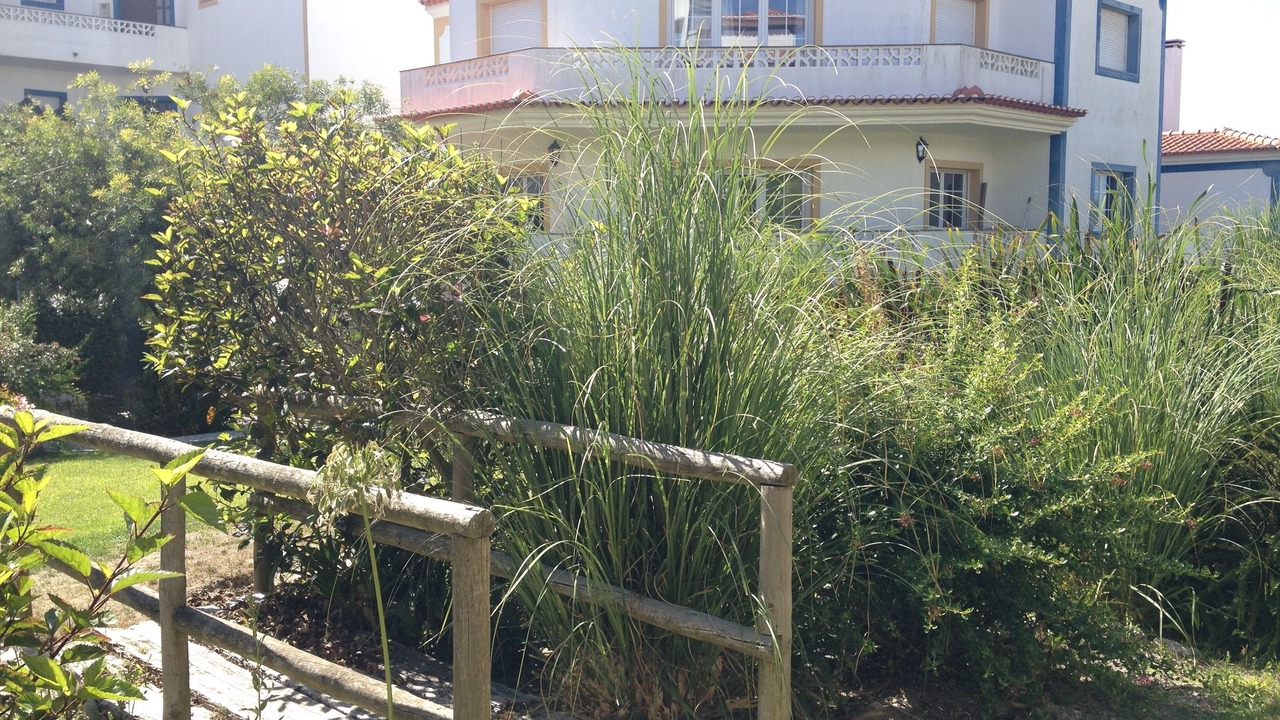 Photo of Outdoor in Praia del Rei