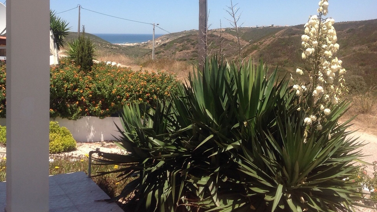 Photo of Others in Aljezur