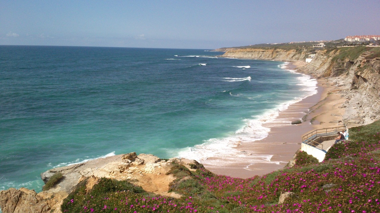 Photo of Others in Ericeira