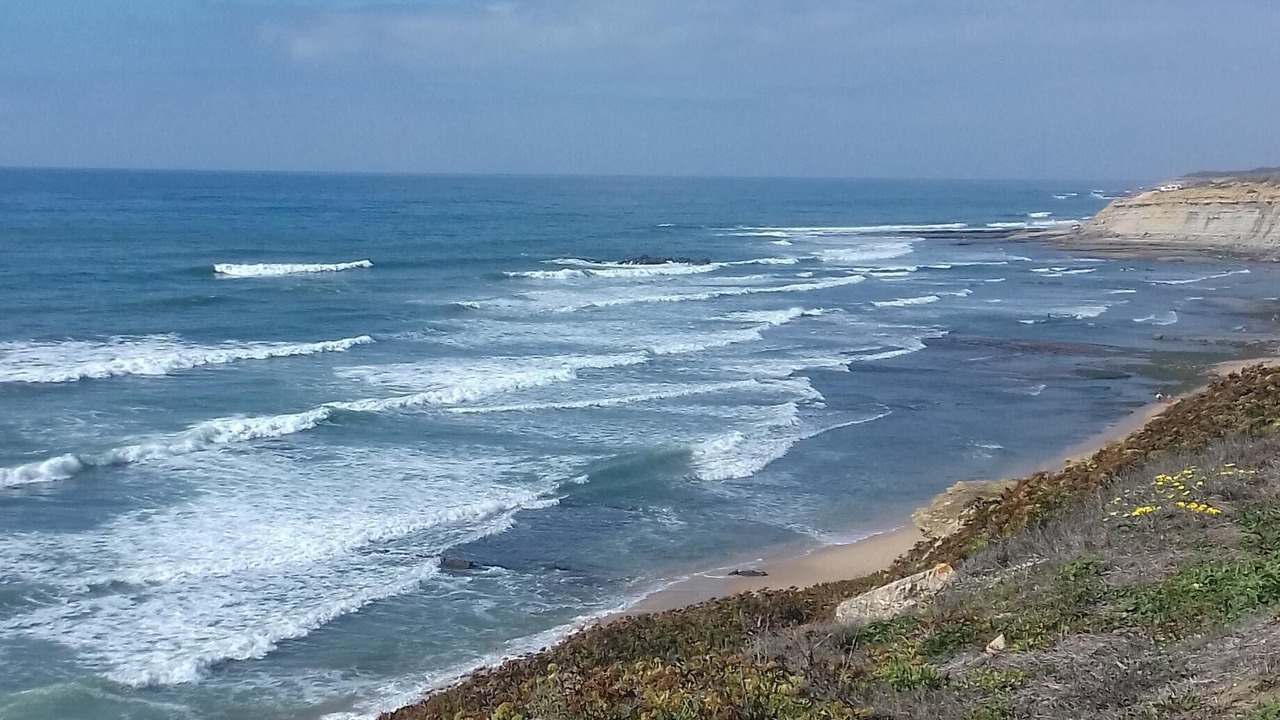 Photo of Others in Ericeira