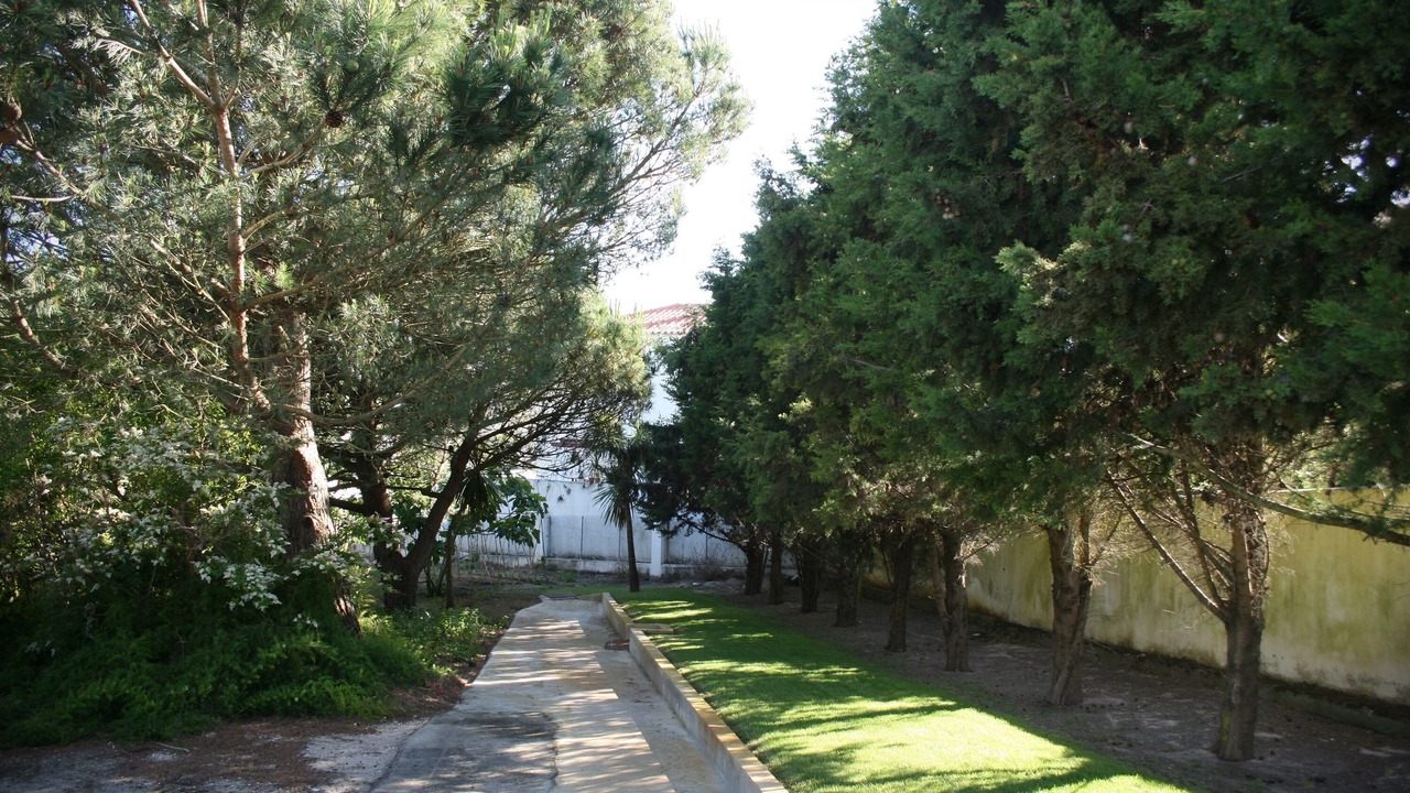 Photo of Outdoor in Ericeira