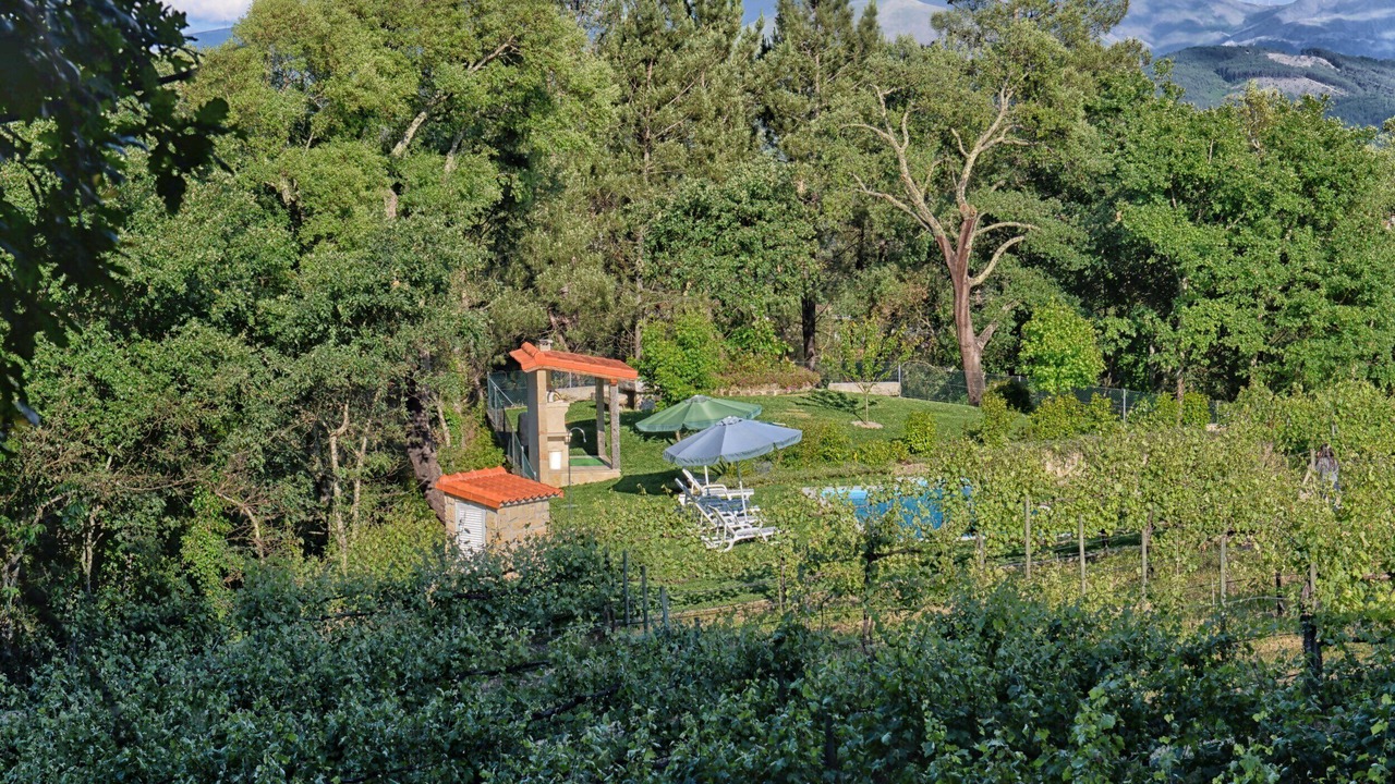 Photo of Outdoor in Molares