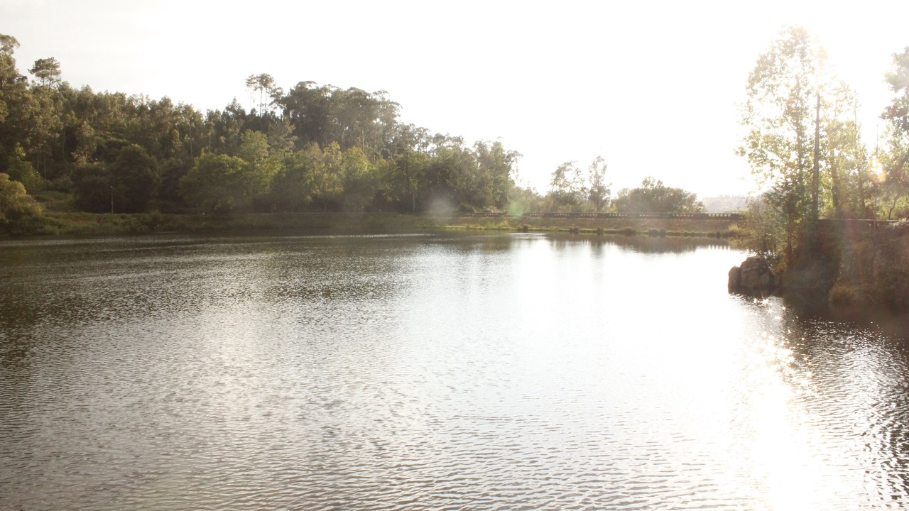 Photo of Outdoor in Macieira de Cambra
