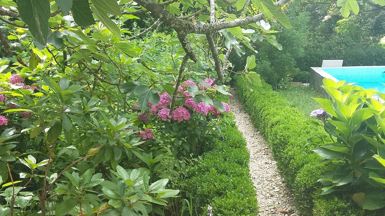 Photo of Outdoor in Alquerubim