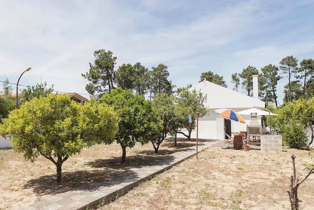 Photo of Outdoor in Sao Lourenco