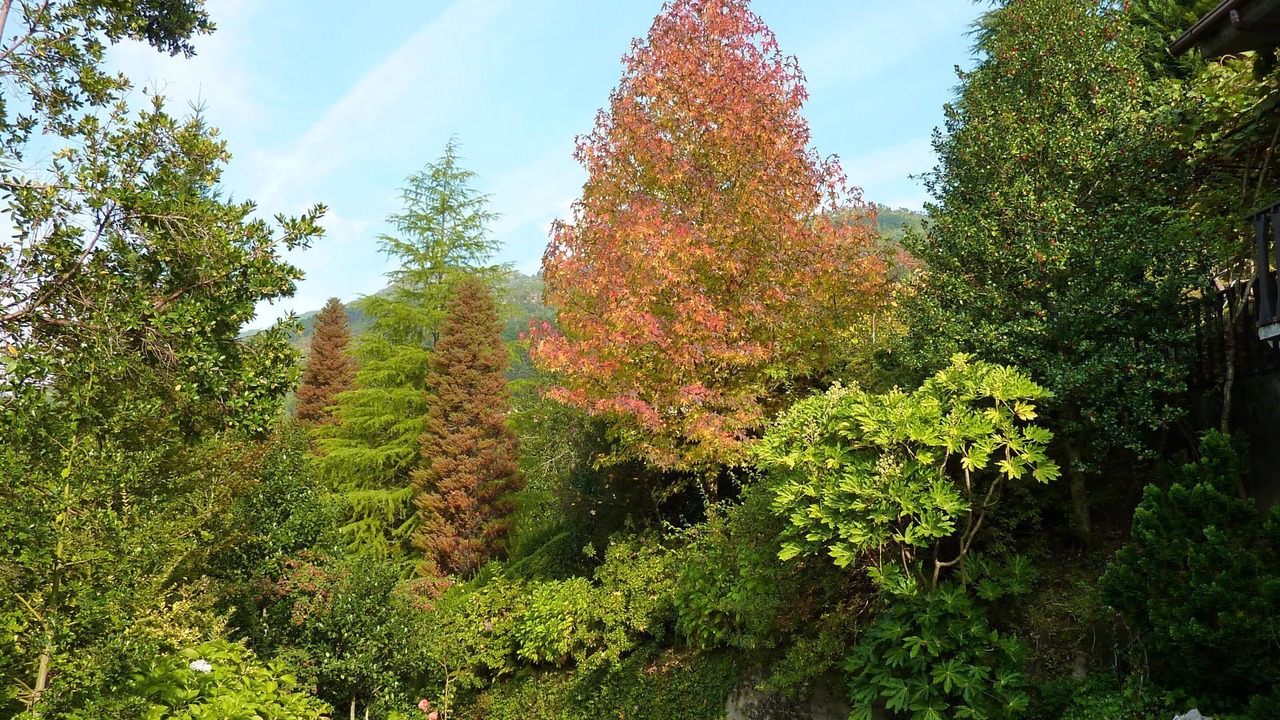 Photo of Outdoor in Vilar da Veiga