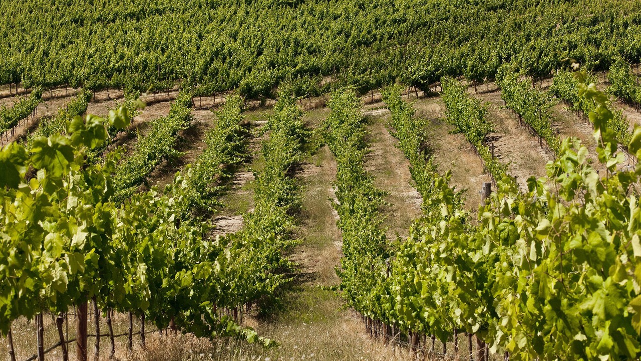 Photo of Outdoor in Crato