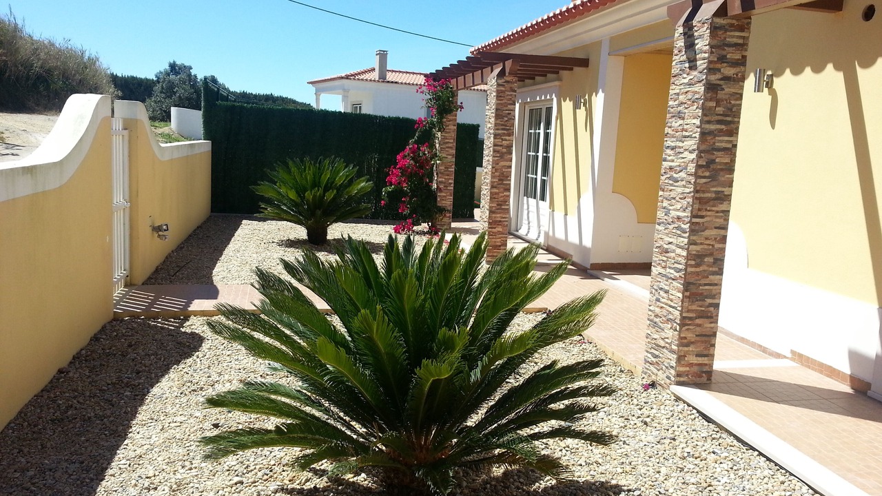 Photo of Outdoor in Lourinha