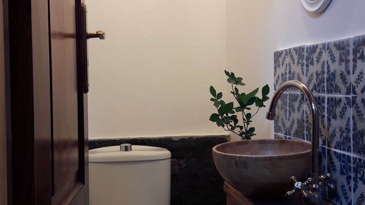Photo of Bathroom in Valongo