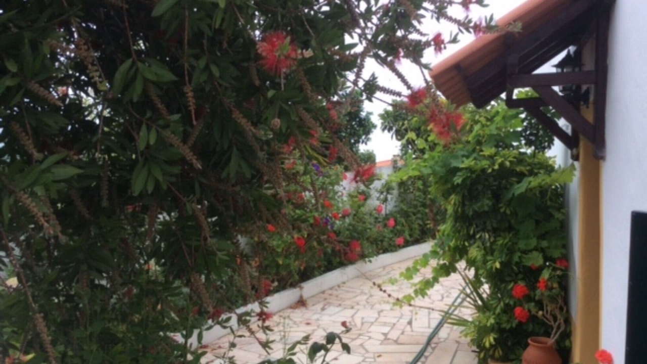 Photo of Outdoor in Lourinha