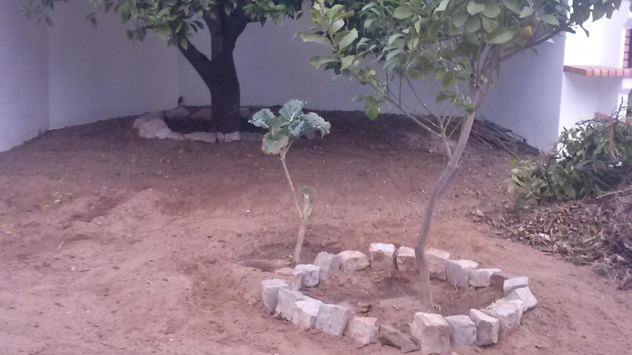Photo of Outdoor in Manta Rota
