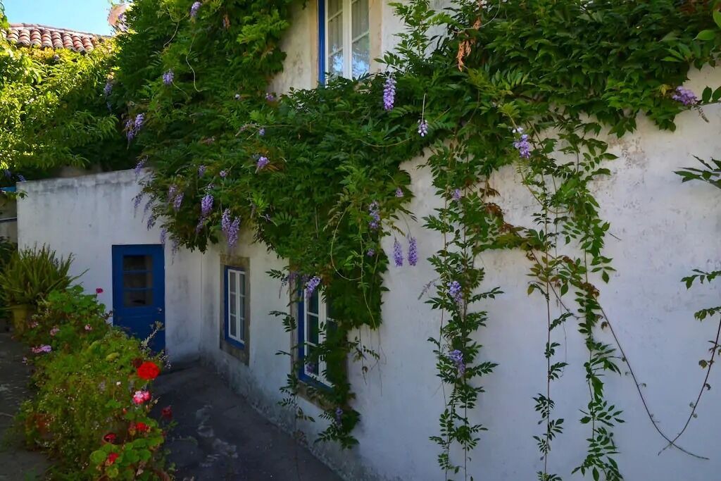 Photo of Outdoor in Obidos