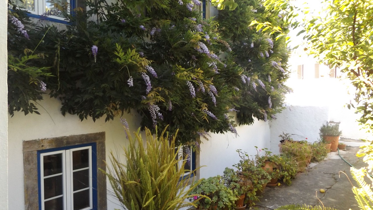 Photo of Outdoor in Obidos