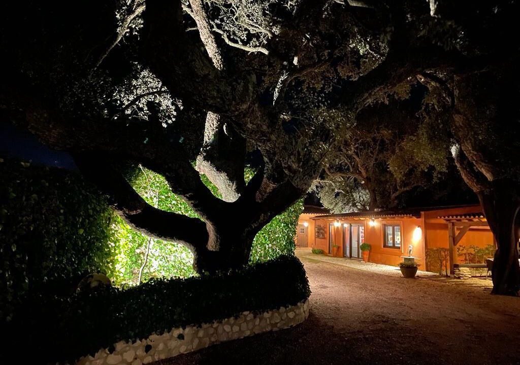 Photo of Outdoor in Santo Estevao