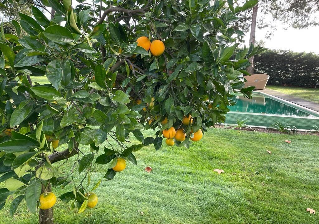 Photo of Outdoor in Santo Estevao