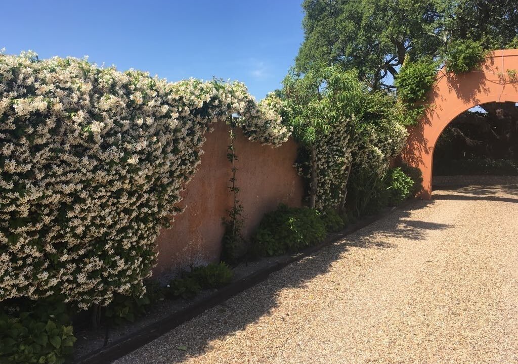 Photo of Outdoor in Santo Estevao