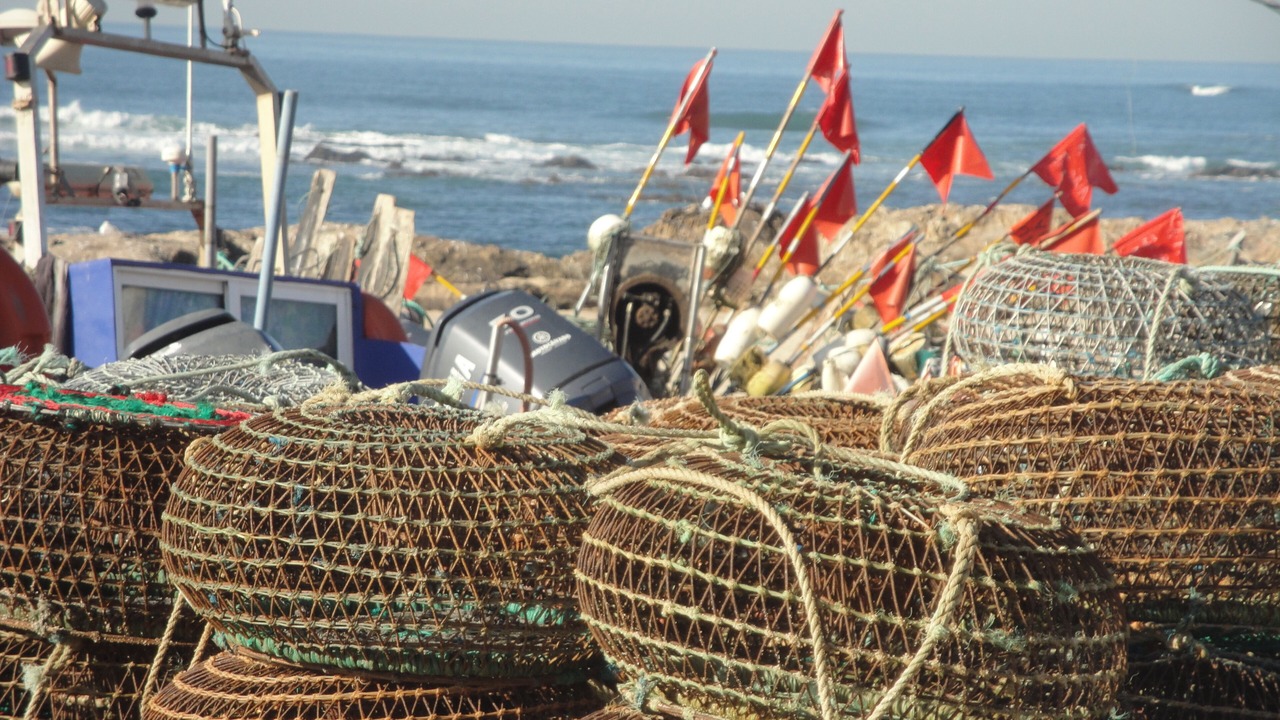 Photo of Others in Vila Cha