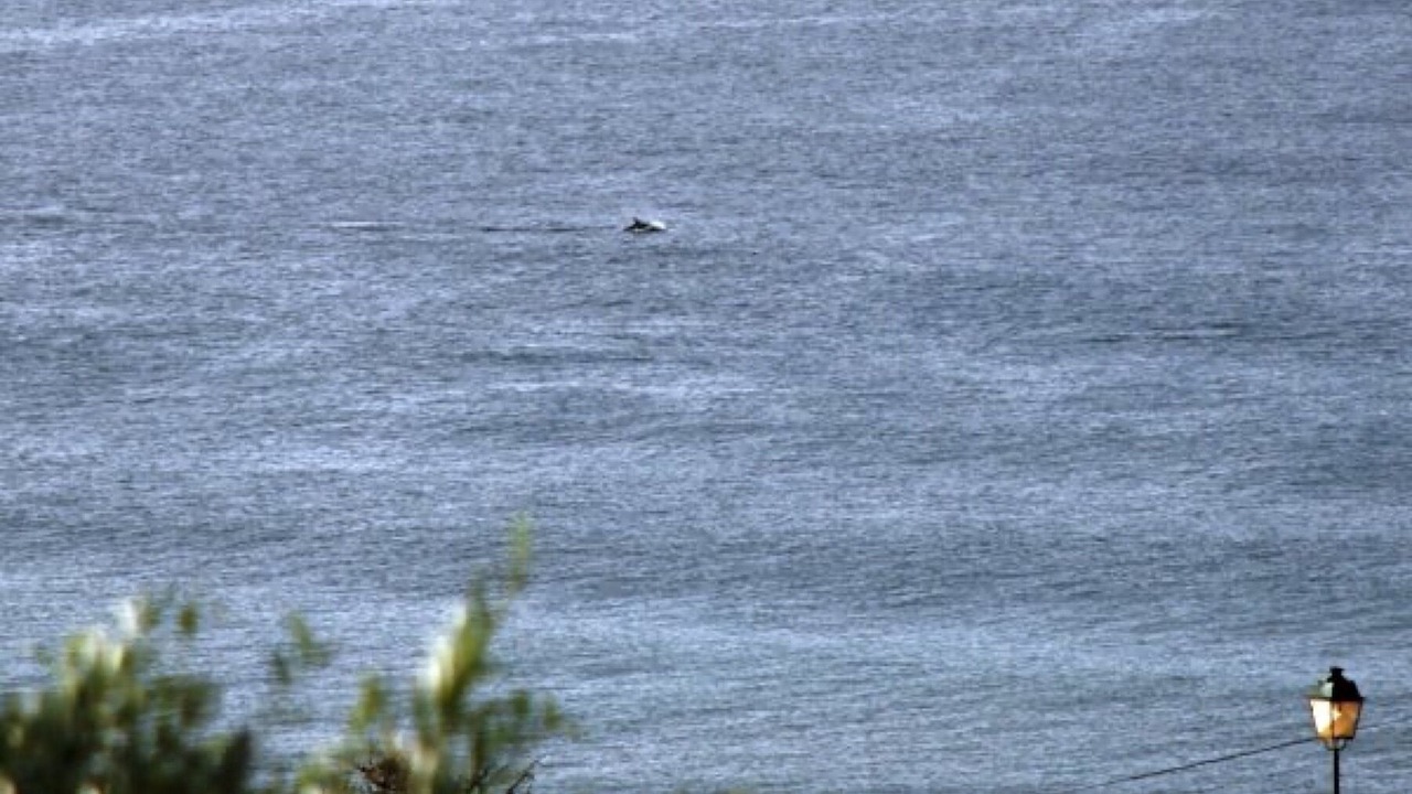 Photo of Others in Porto de Mos