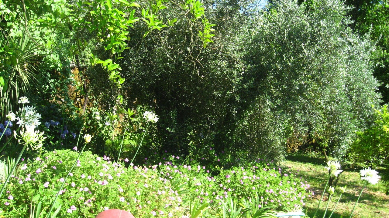 Photo of Outdoor in Basto