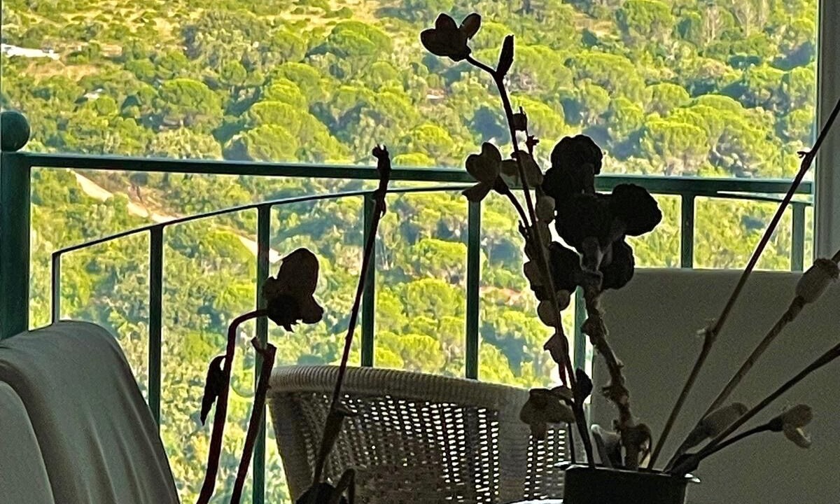 Photo of Others in Setubal