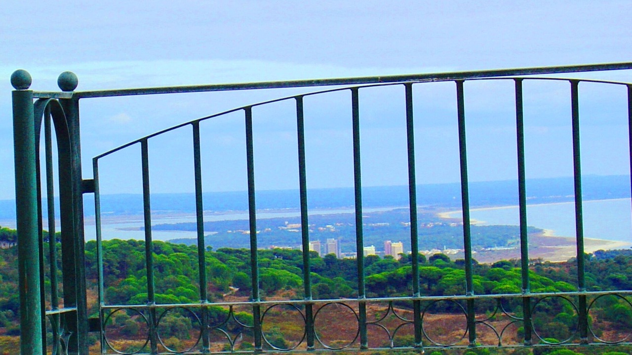 Photo of Others in Setubal