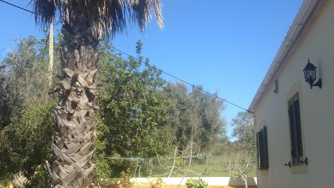 Photo of Outdoor in Porches