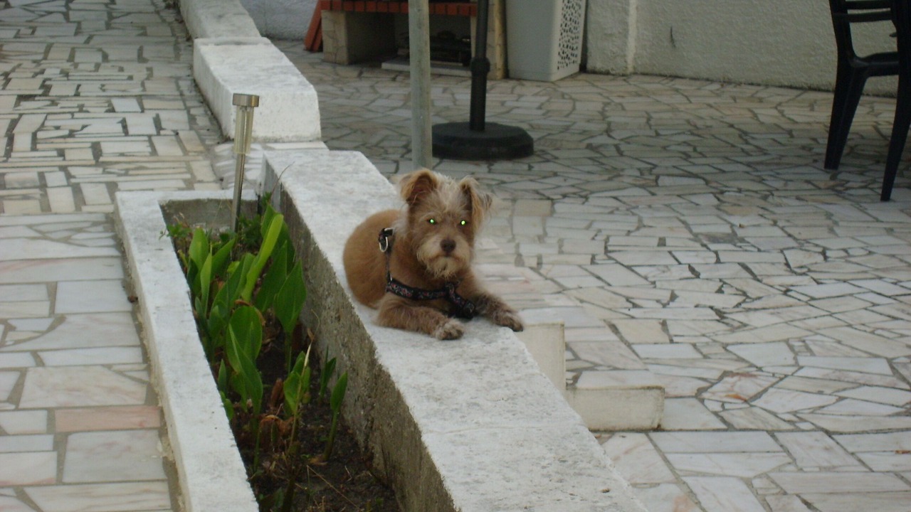 Photo of Outdoor in Charneca de Caparica e Sobreda