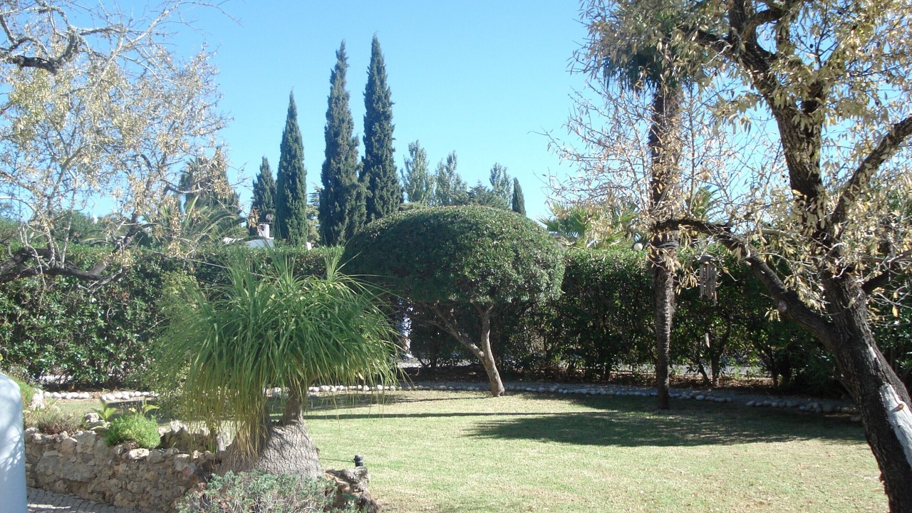Photo of Outdoor in Mato Serrao