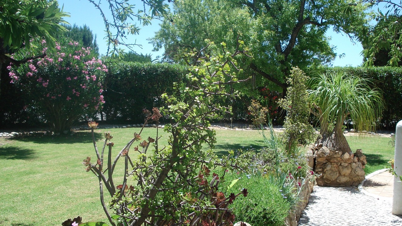 Photo of Outdoor in Mato Serrao