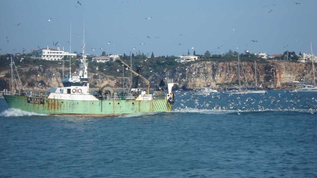 Photo of Others in Mato Serrao