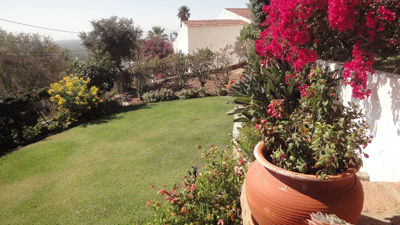 Photo of Outdoor in Malveira da Serra