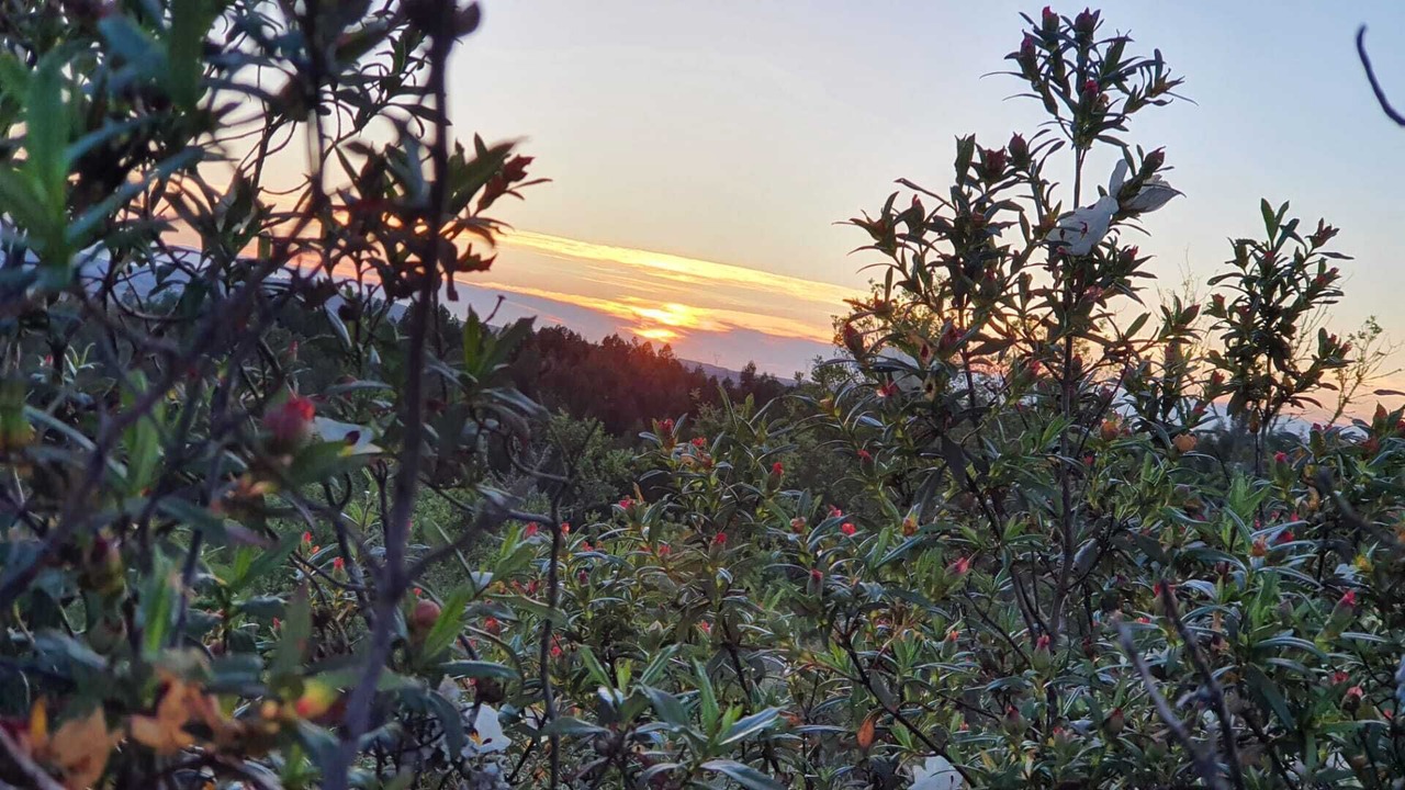 Photo of Outdoor in Santiago do Cacem