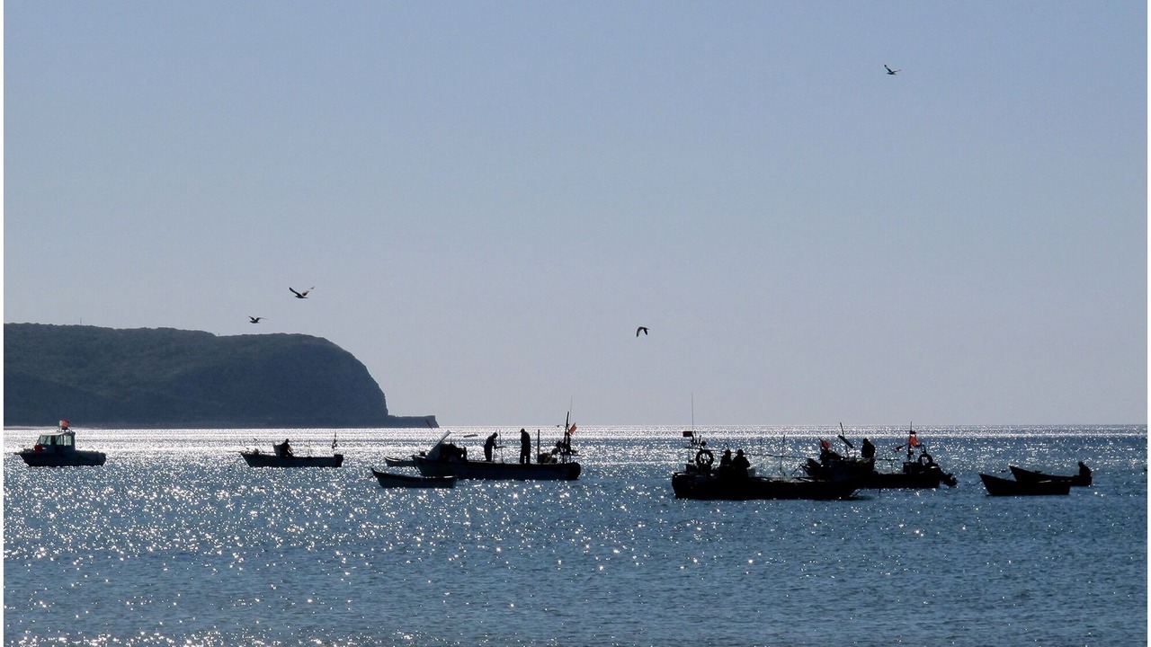 Photo of Others in Salema