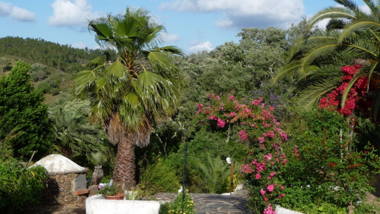 Photo of Outdoor in Baiona