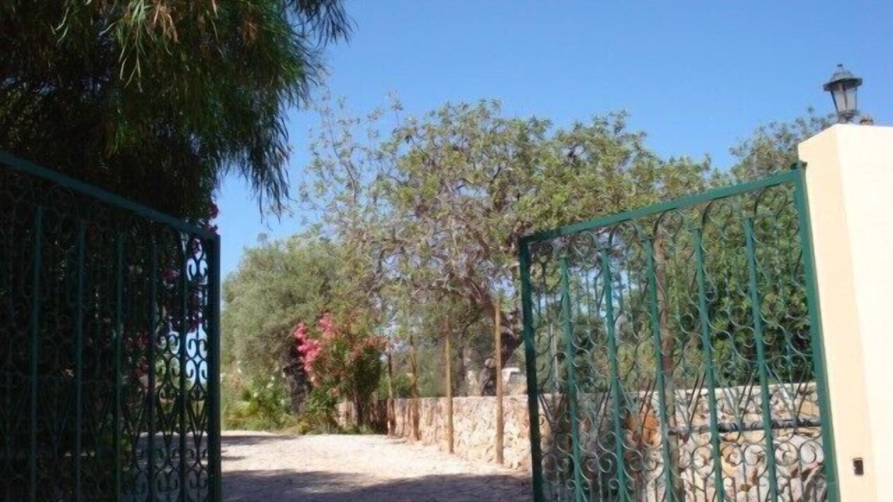 Photo of Others in Tavira