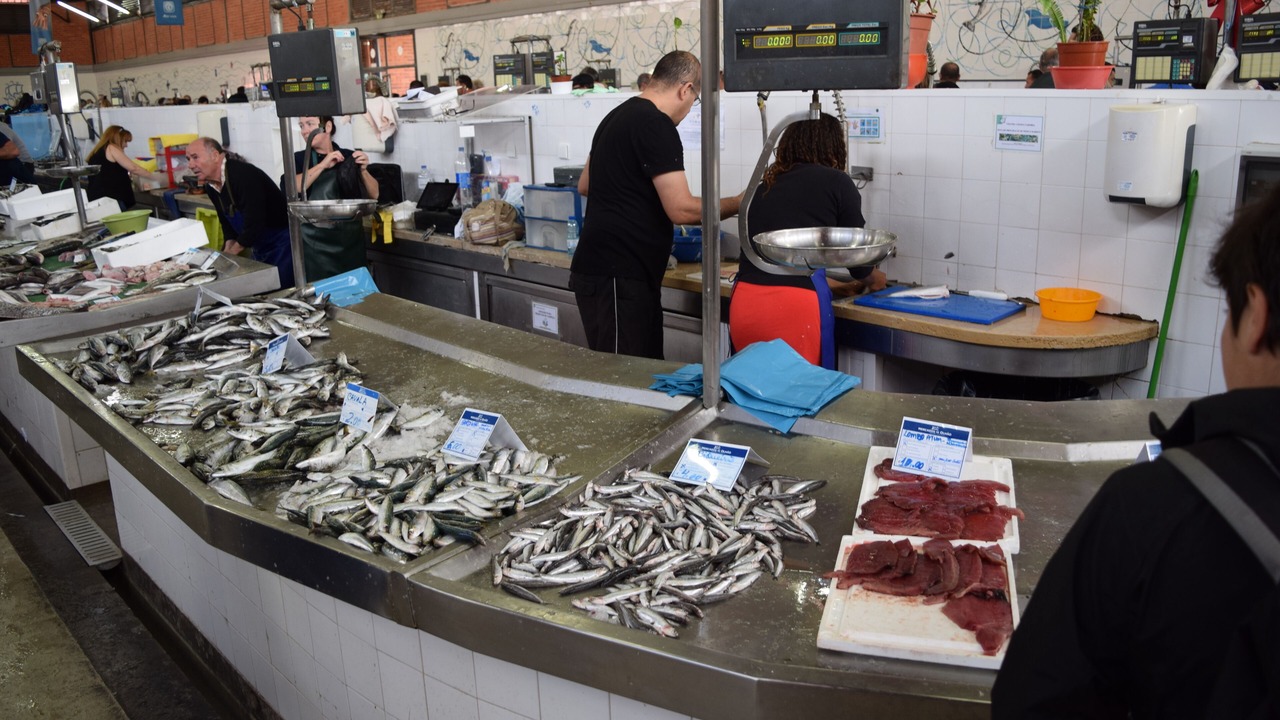 Photo of Others in Olhao