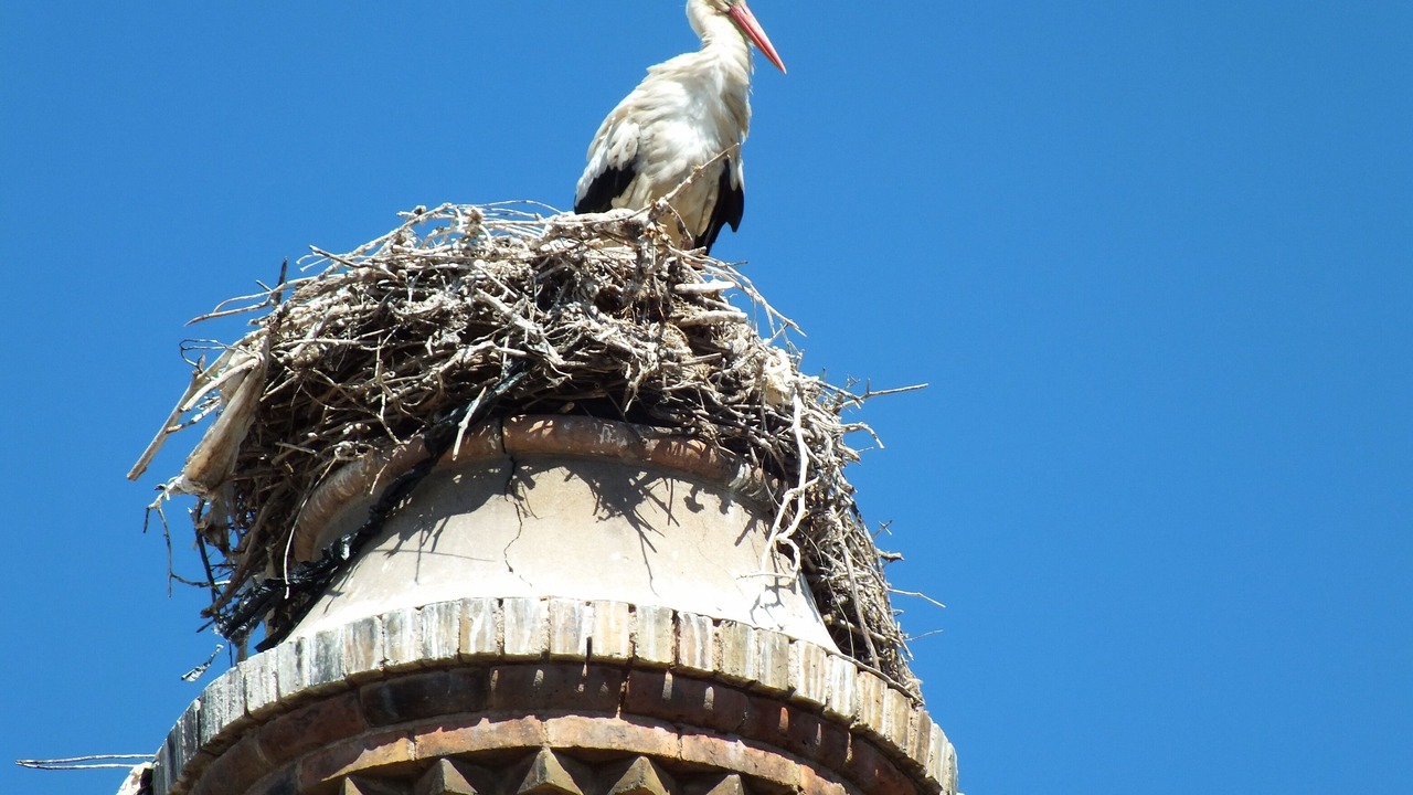 Photo of Others in Olhao