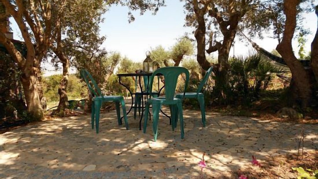 Photo of Outdoor in Alfarrobeira
