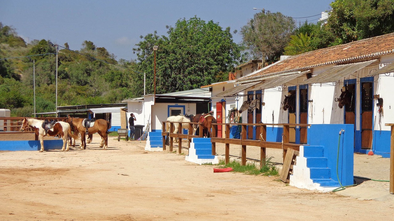 Photo of Others in Vale de Parra