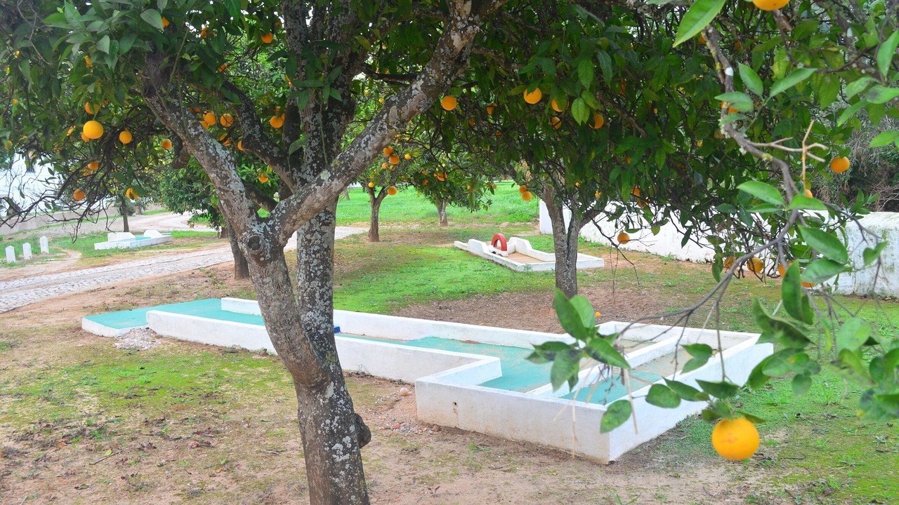 Photo of Others in Vale de Parra
